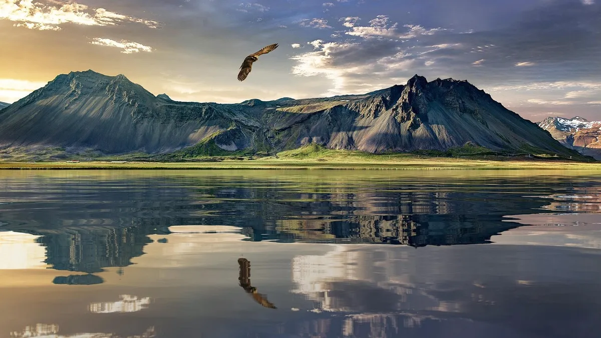 eagle, mountains, lake, reflection, water reflection, mirroring, mountain ranges, mountainous, mountain landscape, flight, flying bird, new zealand, landscape,