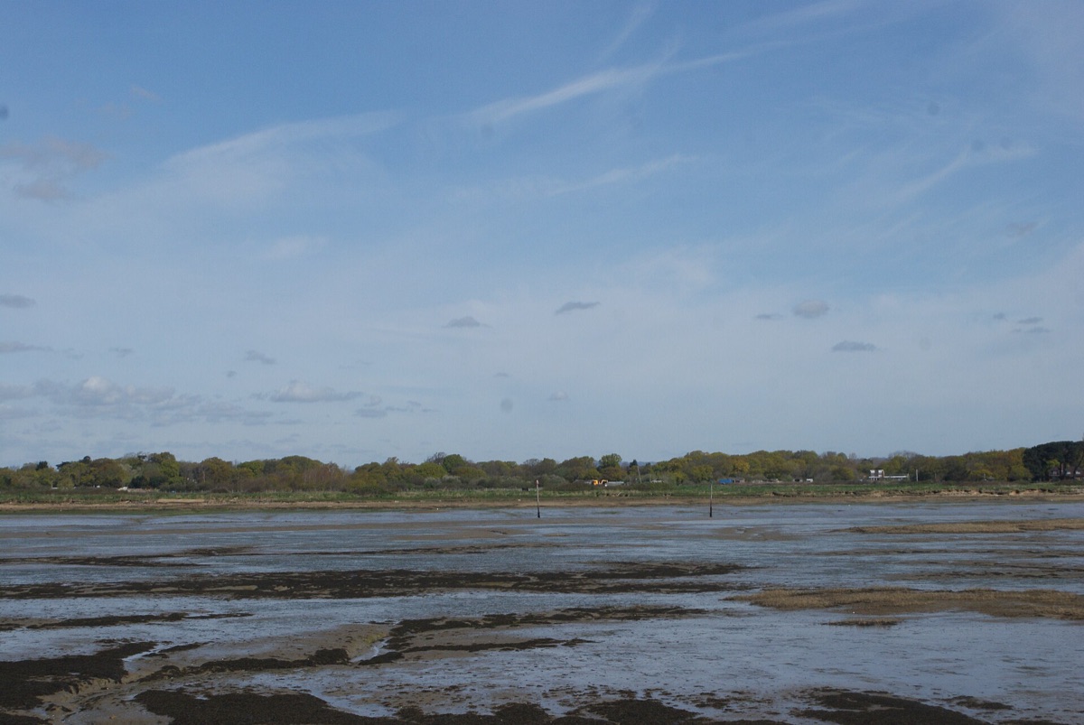Une vue côtière du Sud du Nouveau-Zélande