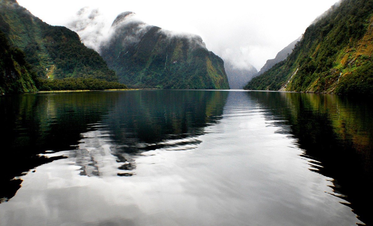 Visitor at milford sound, New Zealand