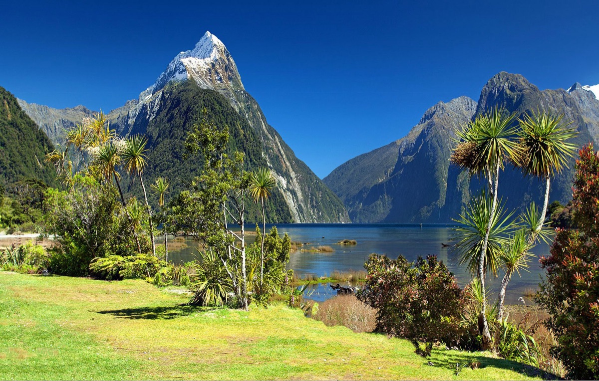 aviso sobre visitas al milford sound