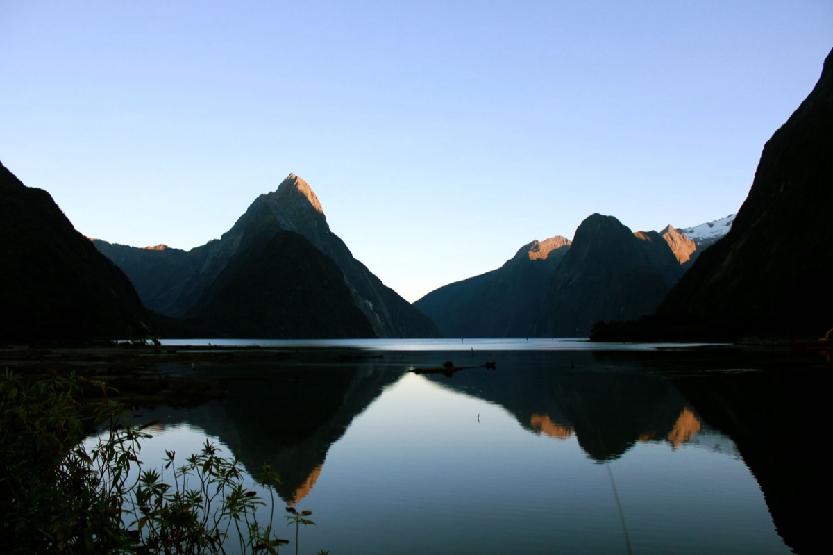 Signes d'information pour les visiteurs du milford sound
