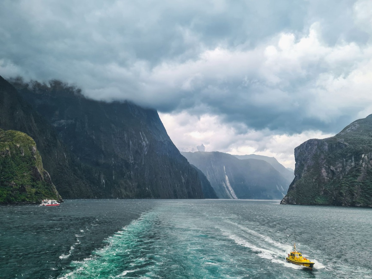 barca in milford sound