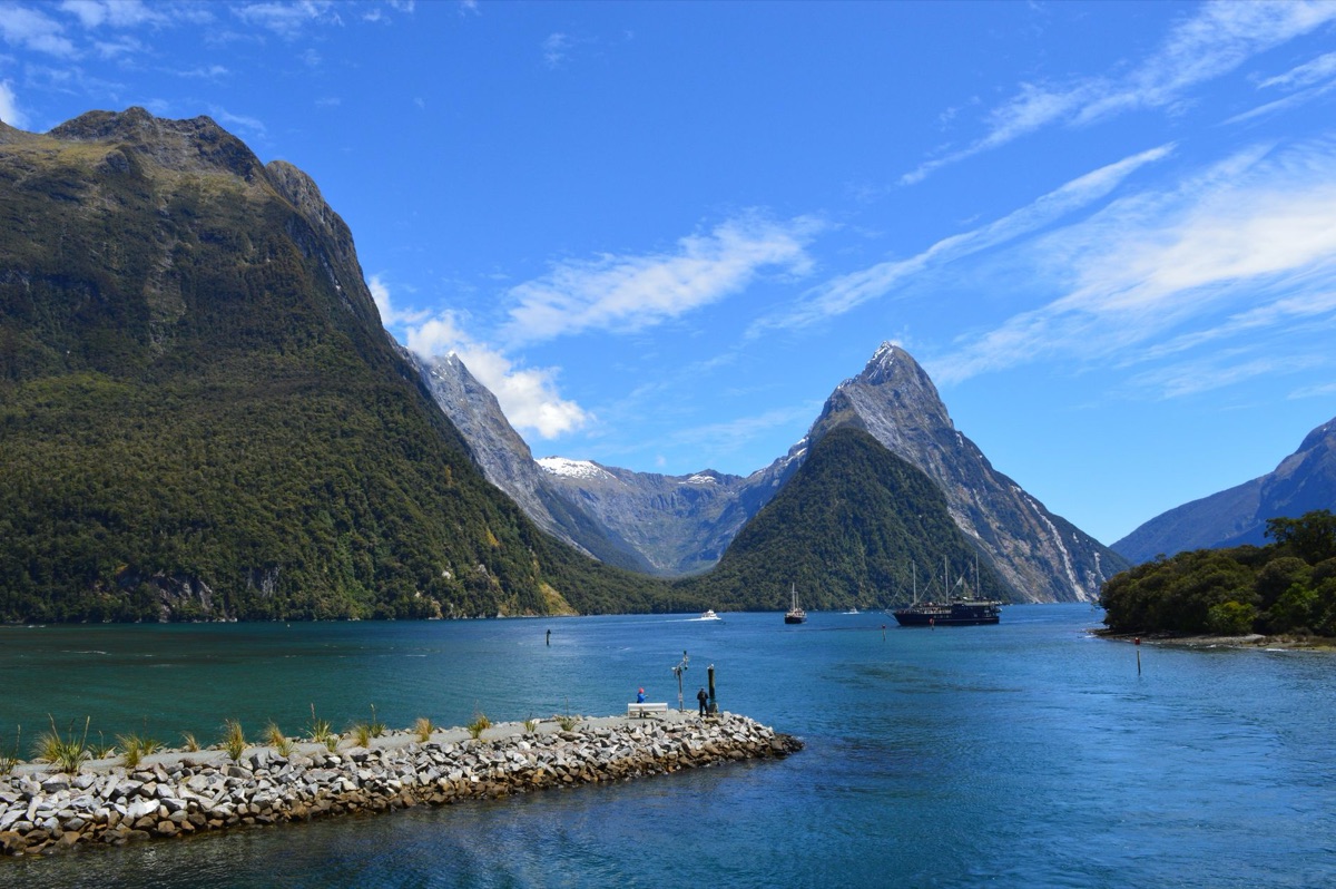 passeggero guarda milford sound