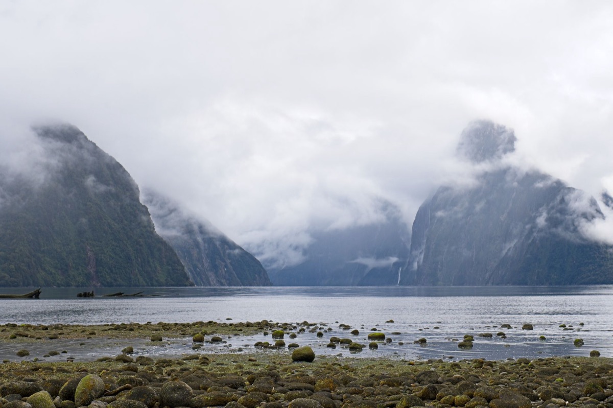 sinalização de entrada do milford sound