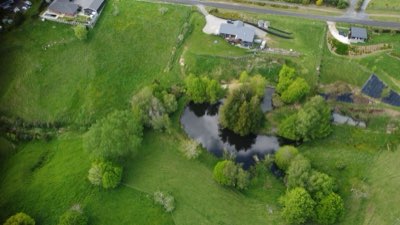 Isola del Nord: Auckland a Rotorua, 8 giorni di pura avventura