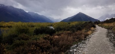 14 Days NZ Road Trip: South to North Island Odyssey