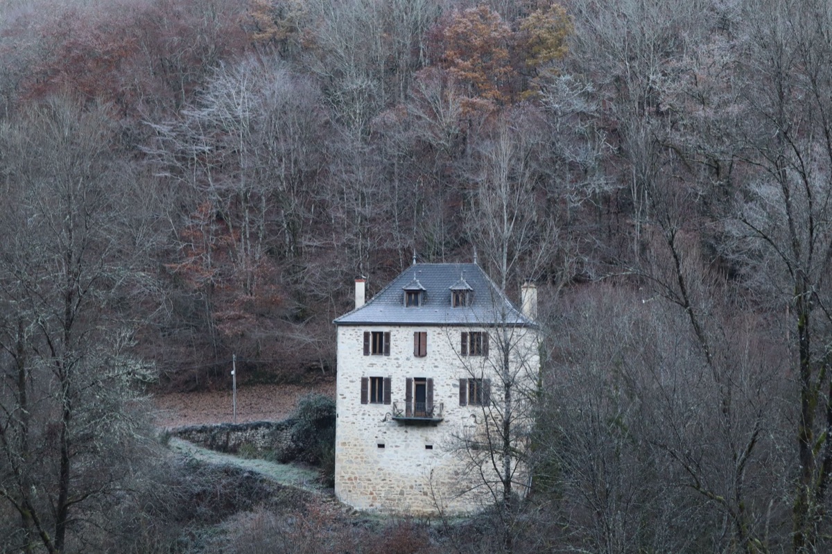 Stone buildings in misty forest