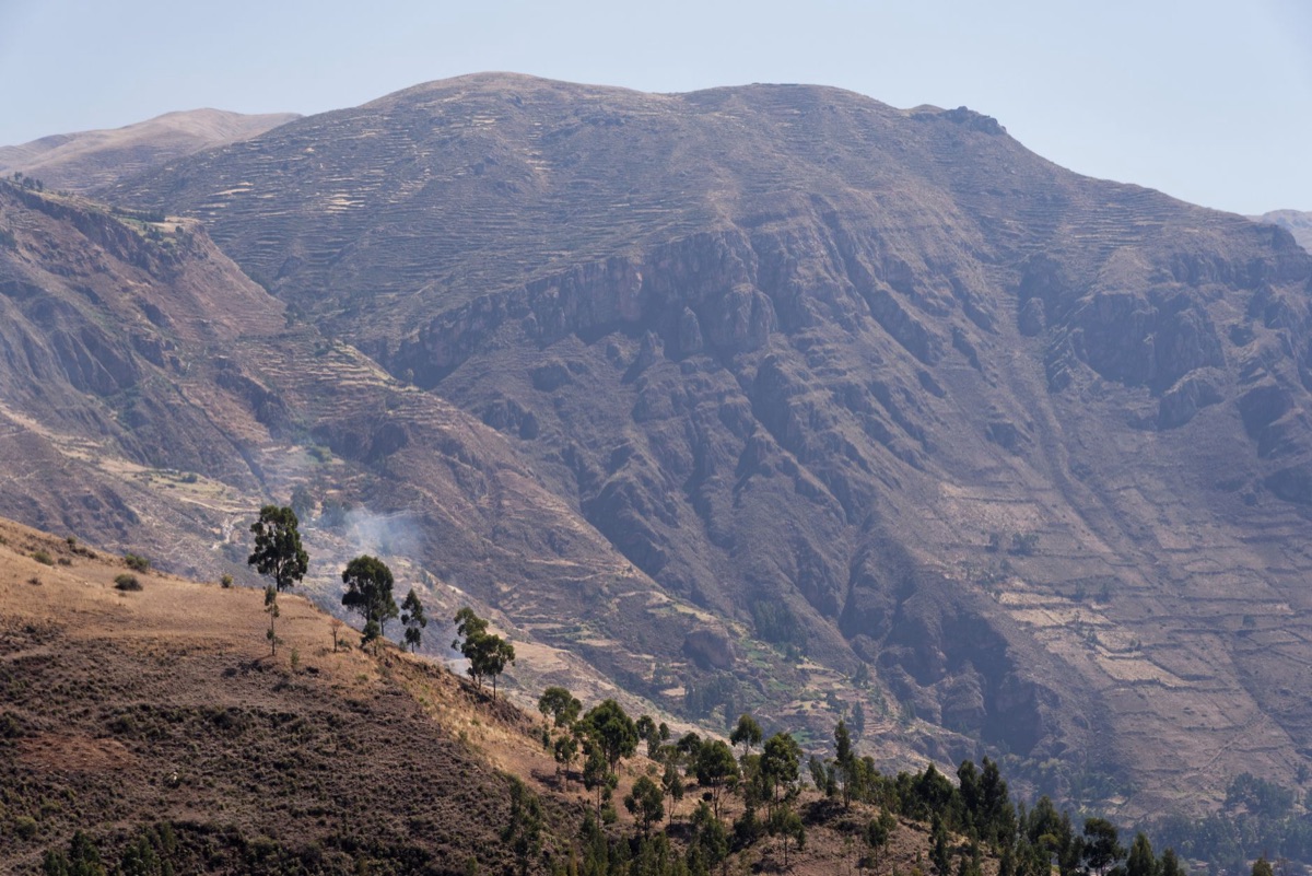 Rugged countryside with ancient trees