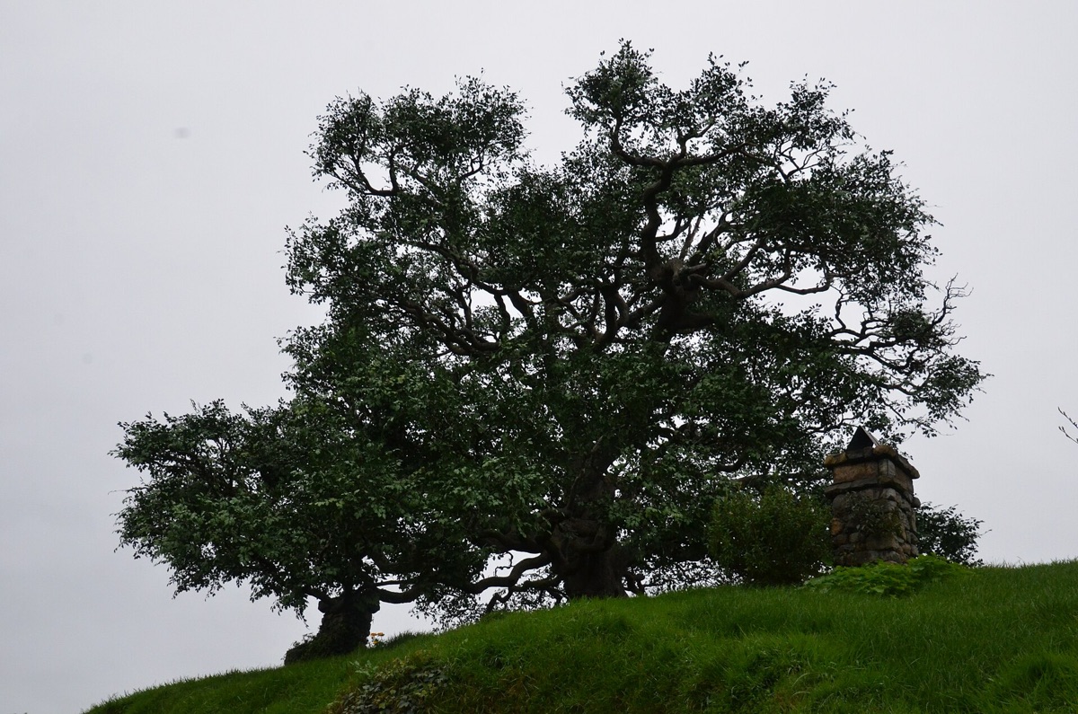 localização da filmagem de hobbiton