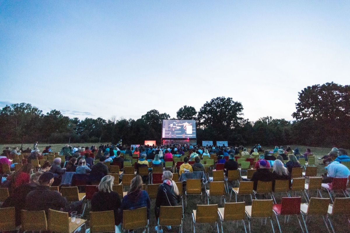 Film festival in New Zealand