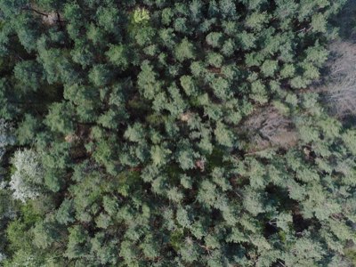 From 16mm to Epic: Jackson's Journey & NZ's Film View