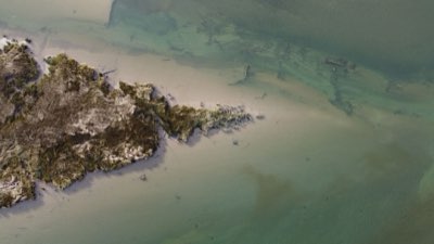 De 16mm a mundos épicos: La visión de Jackson transforma cine