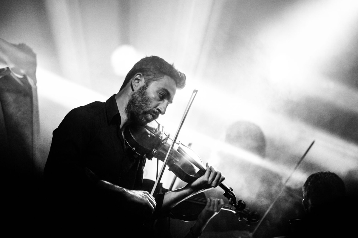 Violoniste en Nouvelle-Zélande