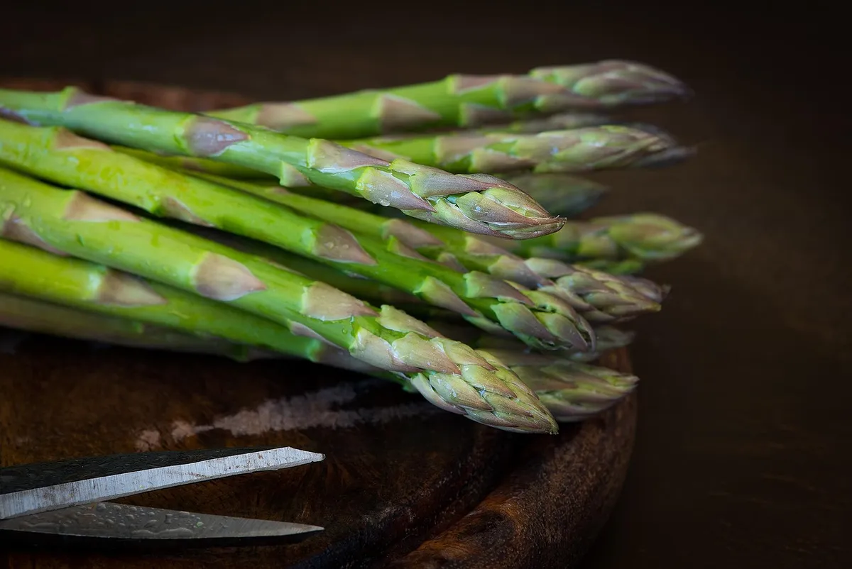 asparagus, green asparagus, green, raw, produce, harvest, organic, fresh, vegetables, food, healthy, nutrition, vitamins, asparagus tips, close up, asparagus, a