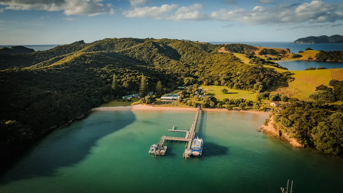 A scenic aerial view of a pier extending into turquoise waters in Northland, New Zealand, surrounded by lush greenery.