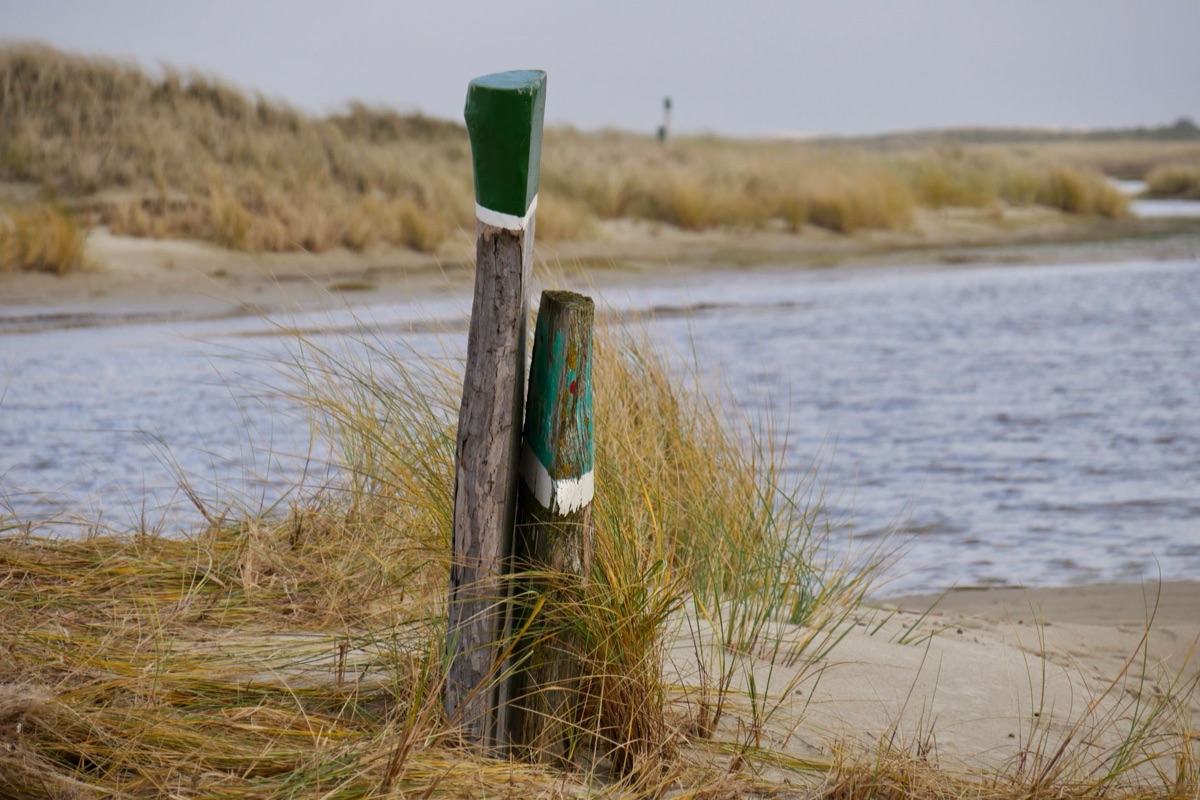 Signaux d'orientation pour un chemin de camping au nord de la Nouvelle-Zélande