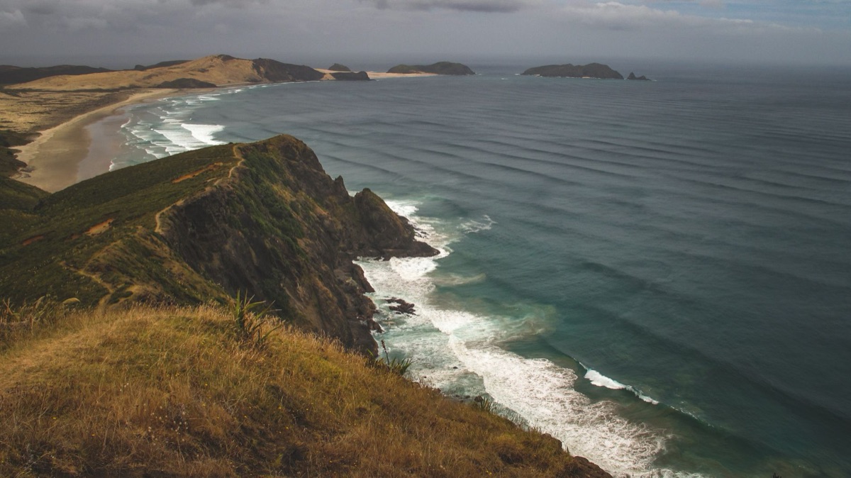 sítio cultural maori noozle island new zealand
