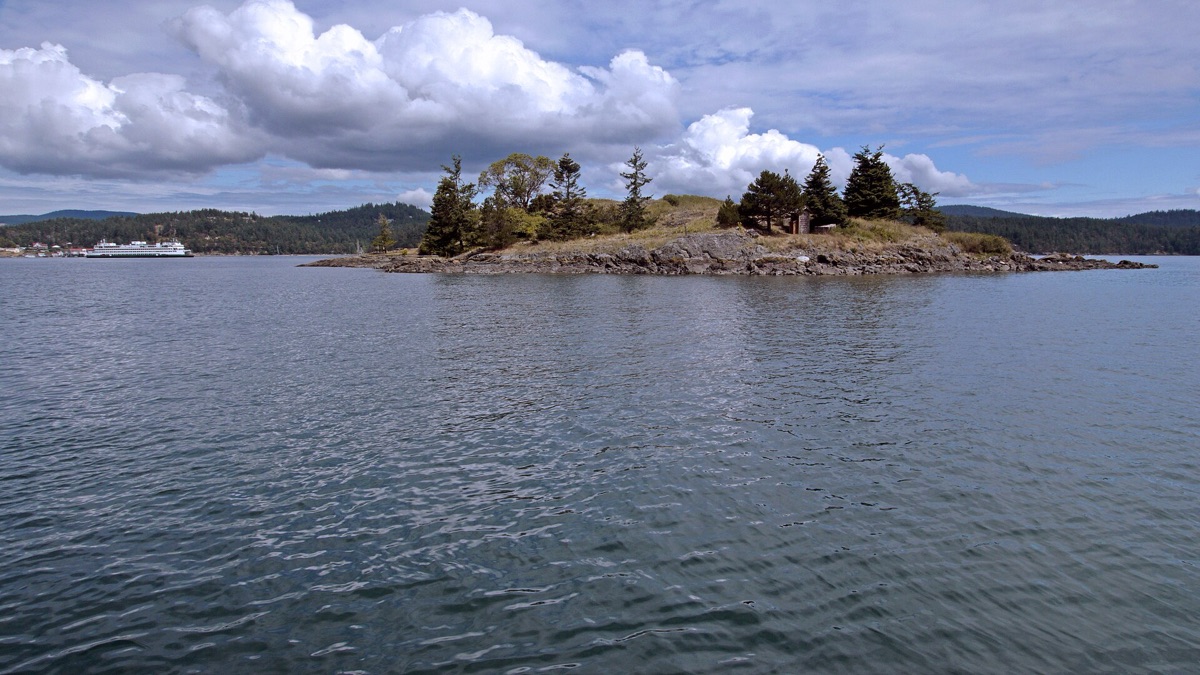 North Island camping trail with mountain views