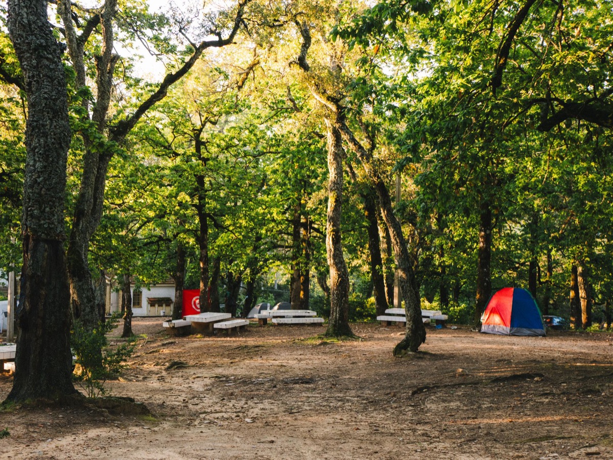 Un site de campement avec des éléments culturels maories, comme des tapis de paille et des structures traditionnelles.